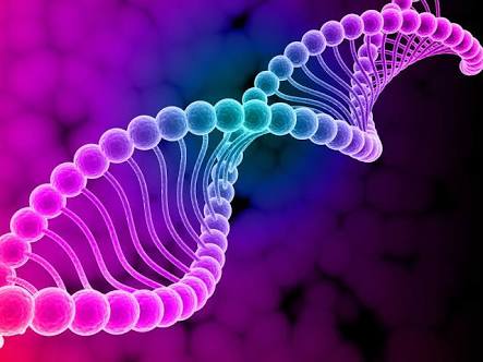 Somos todos mutantes?