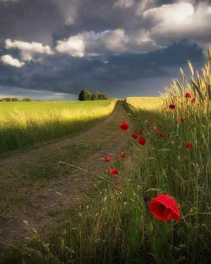 FB_IMG_1616346849520