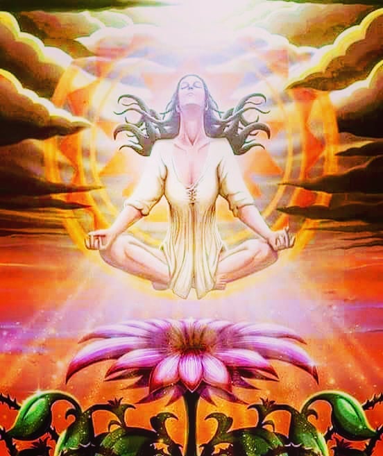 Aprendendo a Florescer