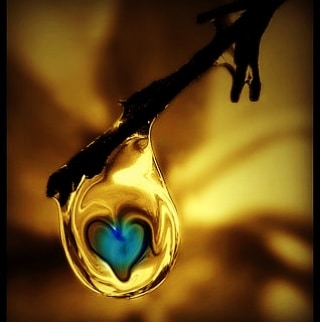 Como você cuida do seu&nbsp;coração?