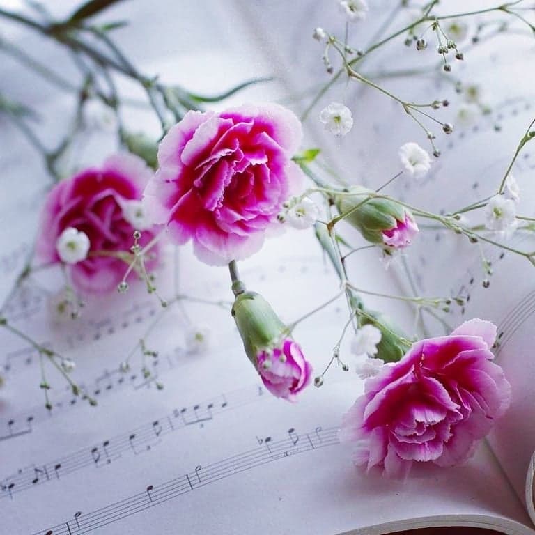 Atravessando as notas…