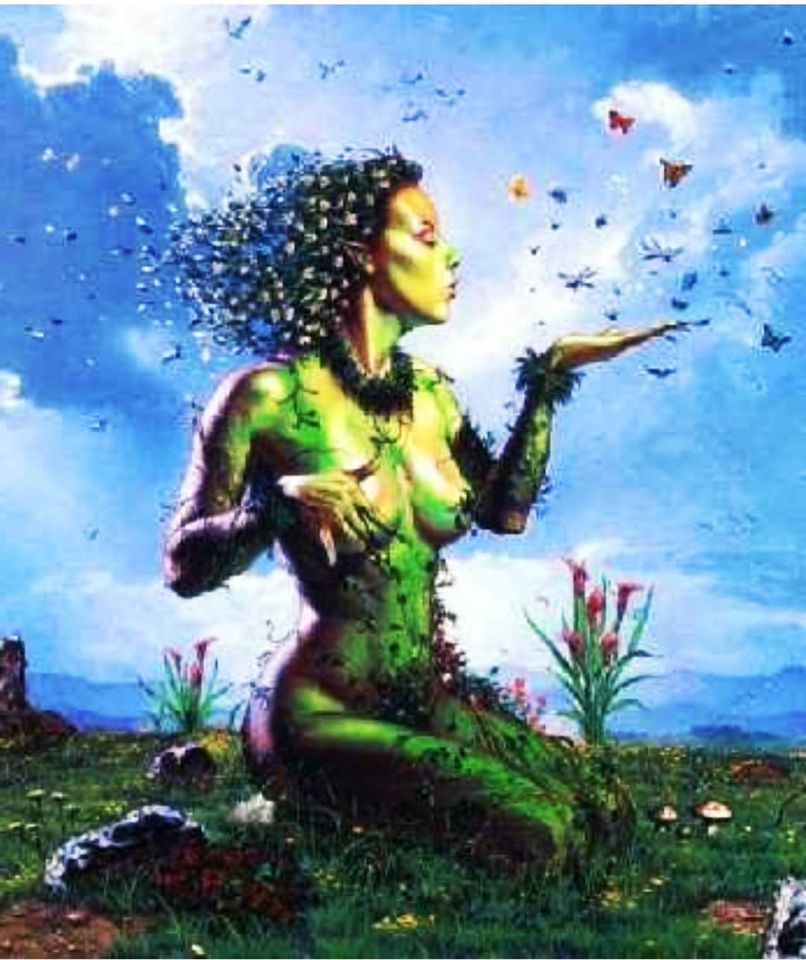 A voz da&nbsp;Natureza