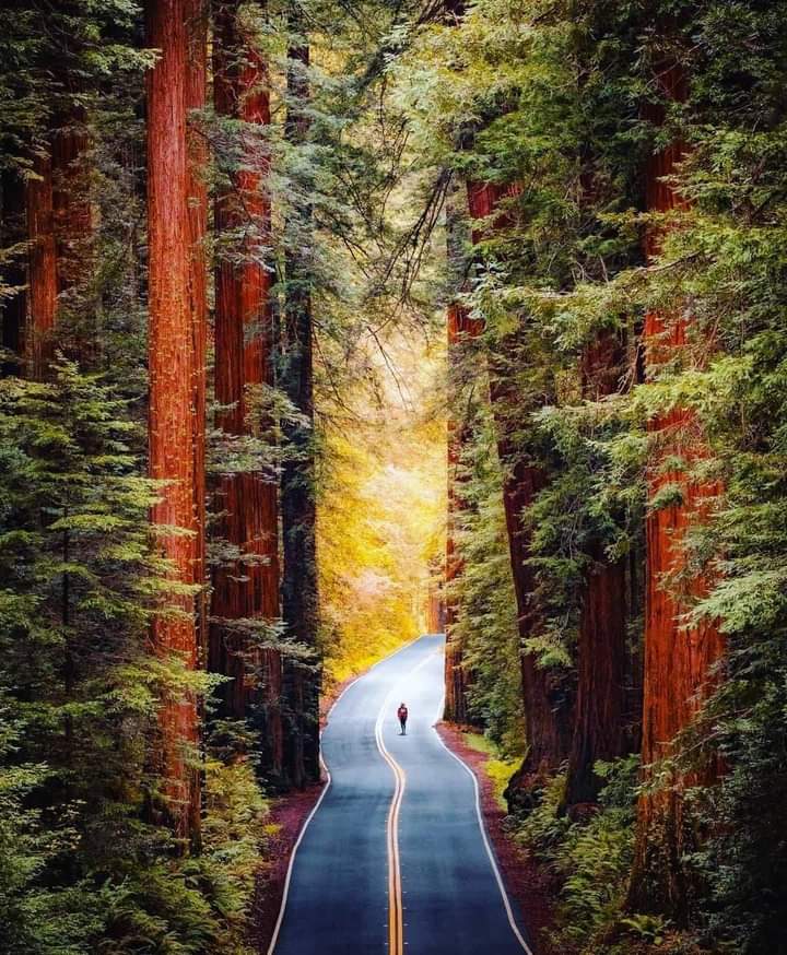 O não você já tem, agora vá atrás do seu&nbsp;sim.