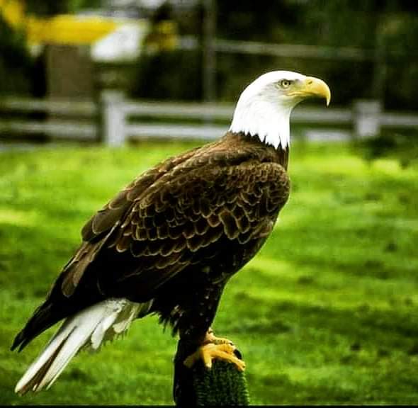 Seja proativo, antecipe-se!