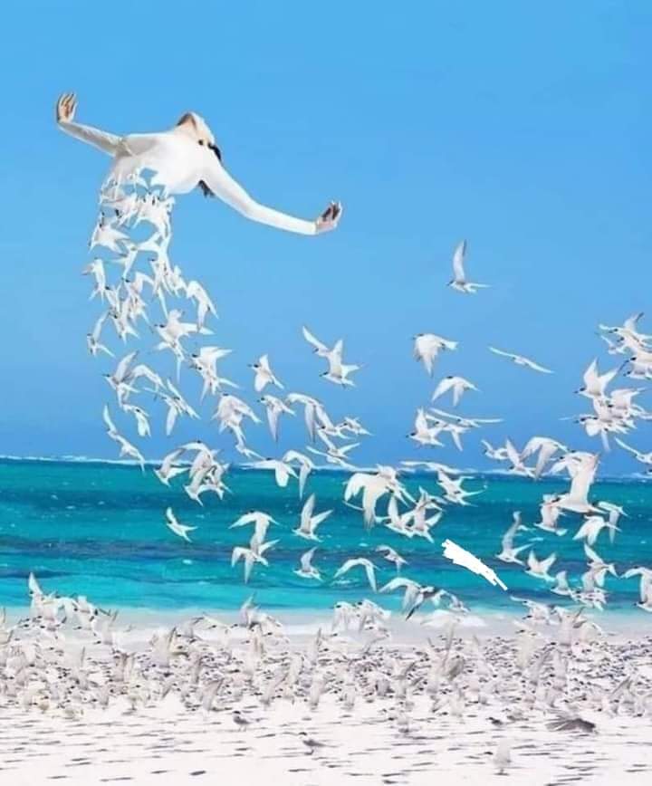 Ontem já é história, o hoje precisa ser&nbsp;construído.