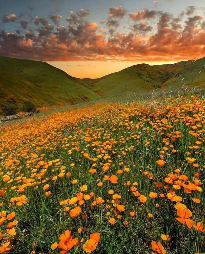 Todo dia chega recheado com chances reais para que seja simplesmente&nbsp;magnífico!