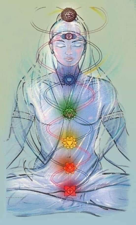 Seu DNA está preparado para restaurar o&nbsp;equilíbrio.