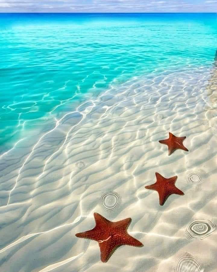 A página de hoje está em branco, use a mansidão e crie uma nova&nbsp;história…