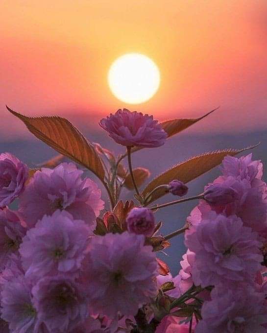 Seja simplesmente você de verdade, a sua essência deve prevalecer sobre&nbsp;tudo.