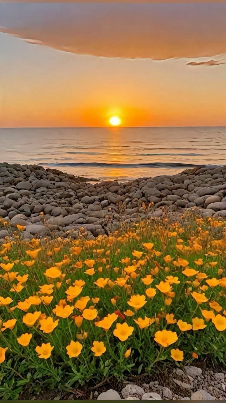 Este é O Momento&nbsp;Ideal!